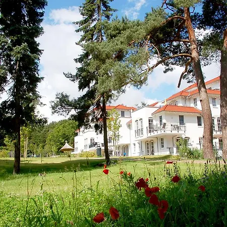 Sun Island * بابي